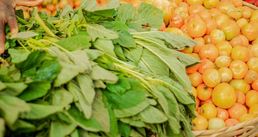 Organic farms avoid toxic inputs, improve soil health, grow clean, sustainable food that supports nature.